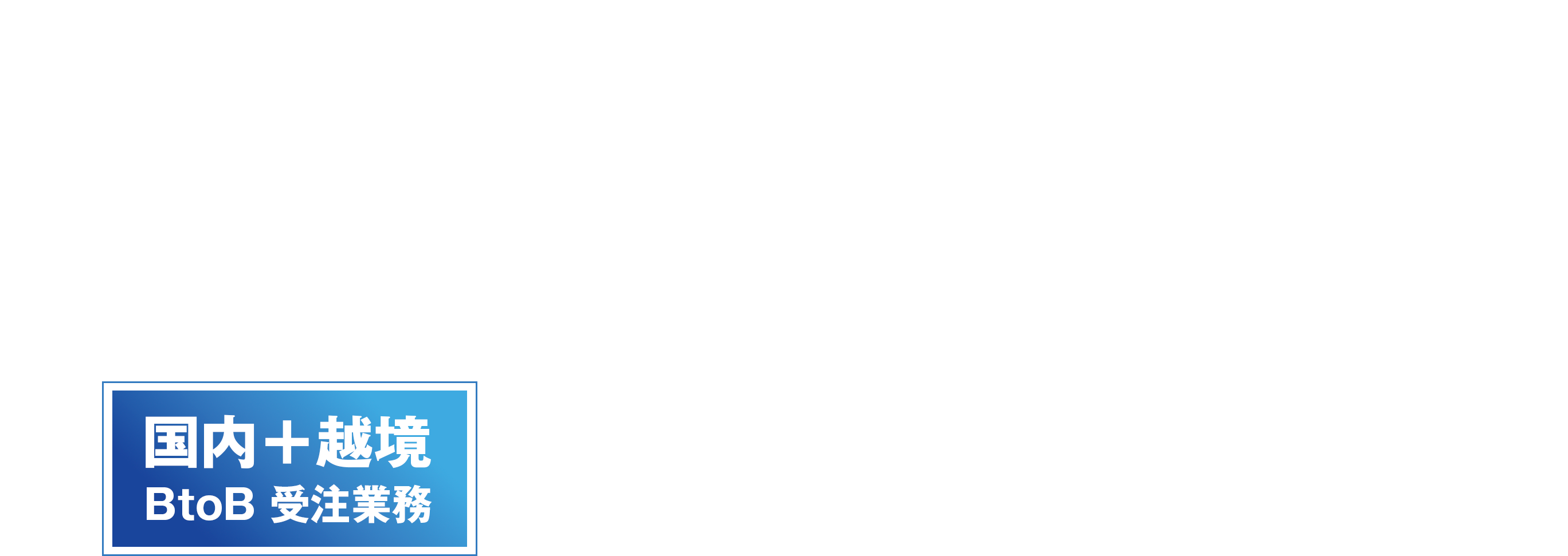 個社要望に応じてカスタマイズ出来るセカイカート 国内＋越境 BtoB 受注業務 高性能・簡単・定額